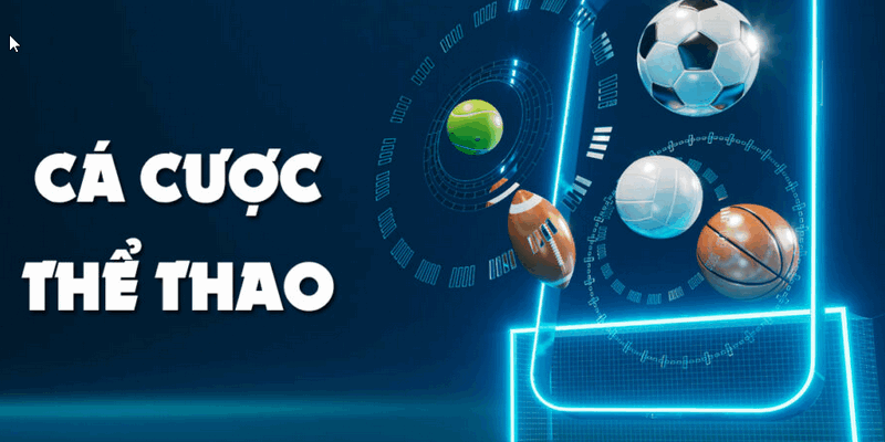Thể Thao 79KING - Xem Kết Quả Và Lịch Thi Đấu Nhanh 2026 6 Theo dõi sát sao mọi thông tin, thay đổi để đặt cược hợp lý