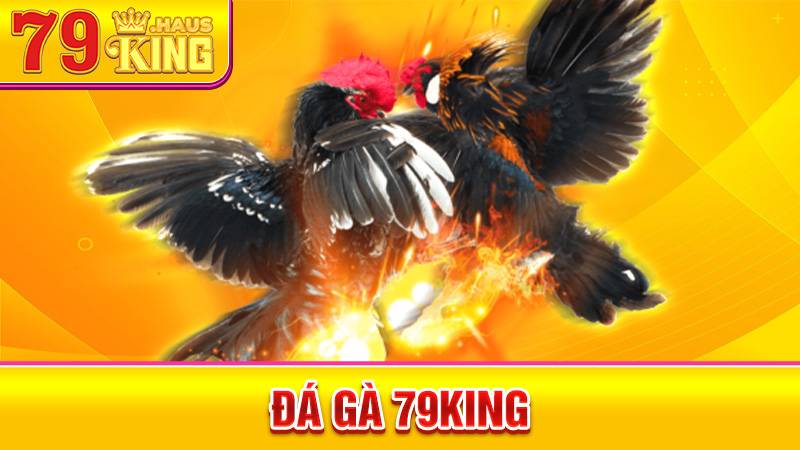 Đá Gà 79KING - Lịch Trận Đấu Gà Chọi Mới Nhất Hôm Nay 2026 1 Đá gà 79King